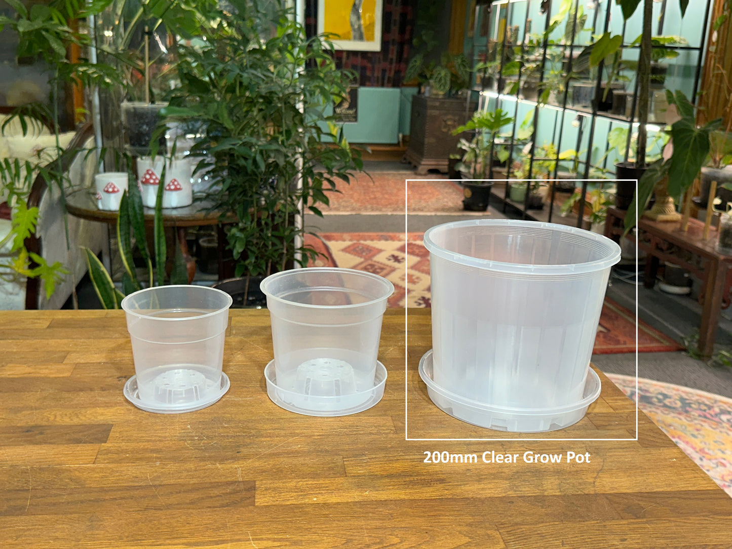 200mm Clear Grow Pot