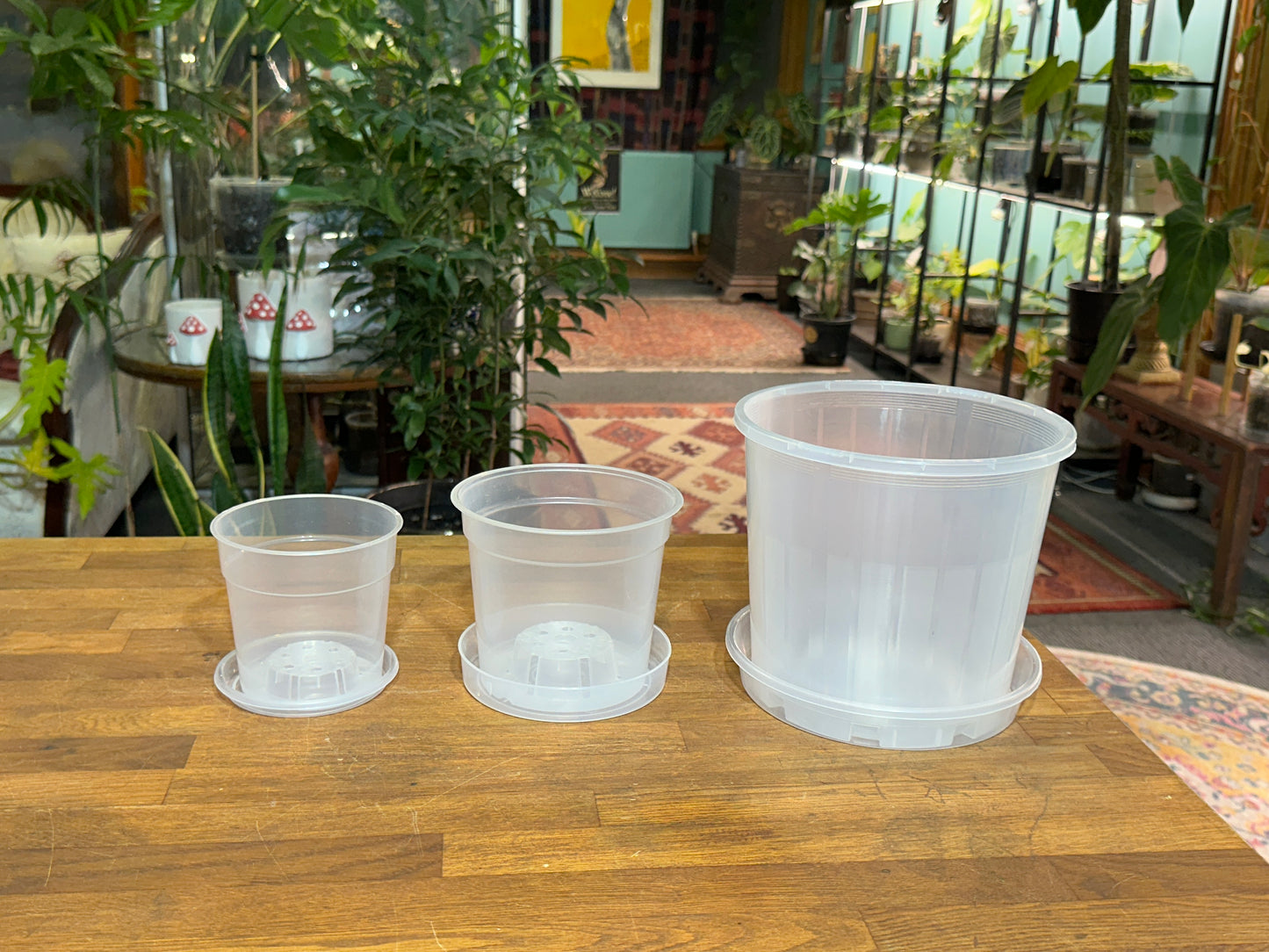 150mm Clear Saucer