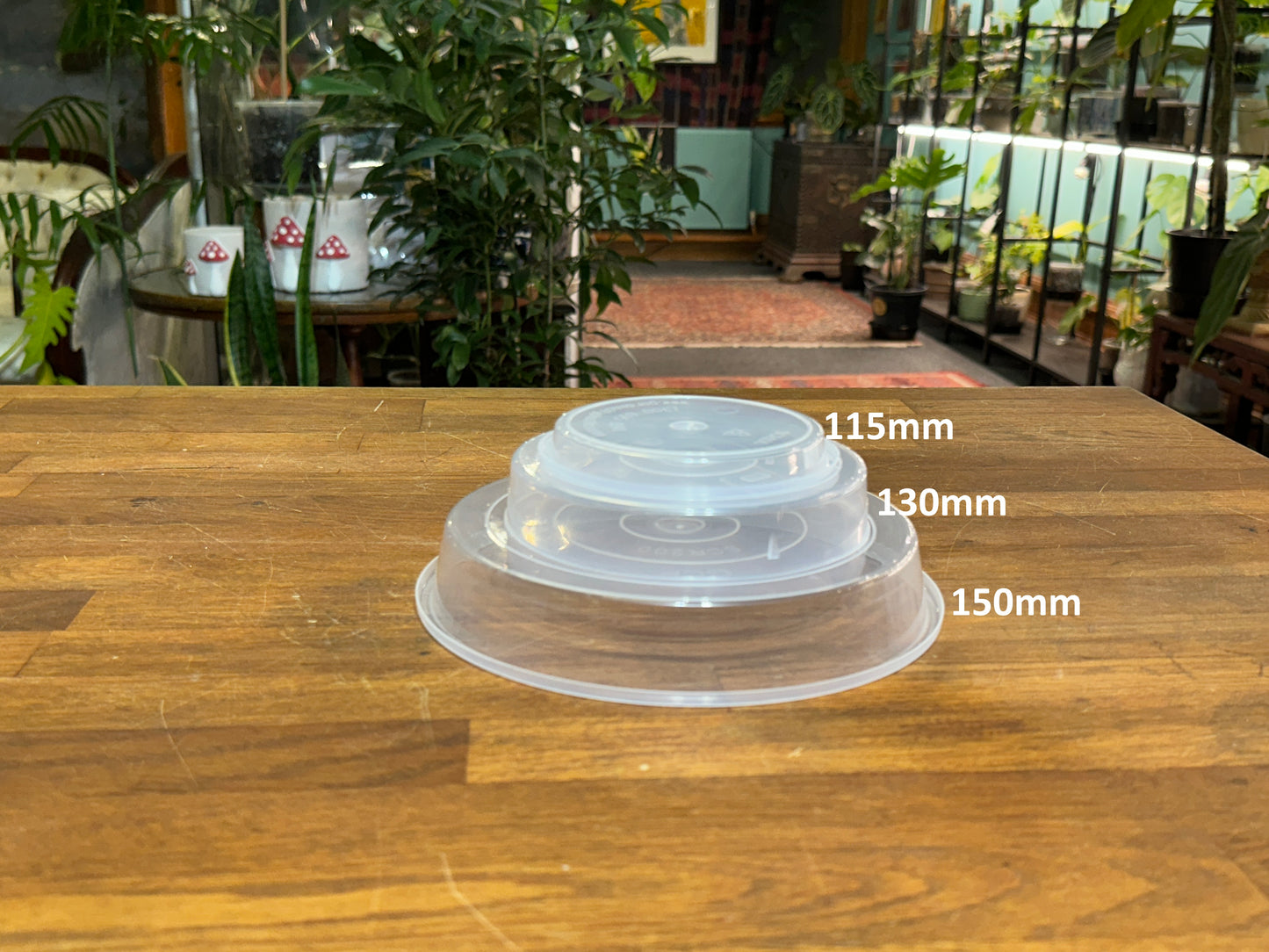 150mm Clear Saucer