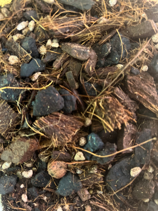 Holy Soil Aroid Alchemy Formula