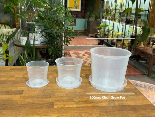 200mm Clear Grow Pot