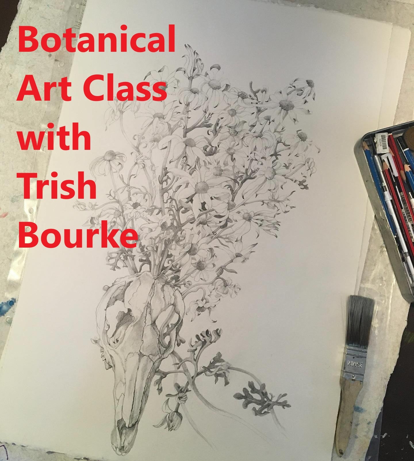 Trish Bourke Drawing Class