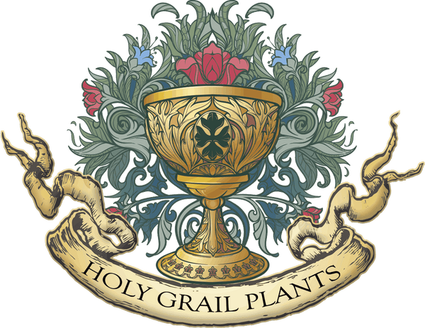 Holy Grail Plants
