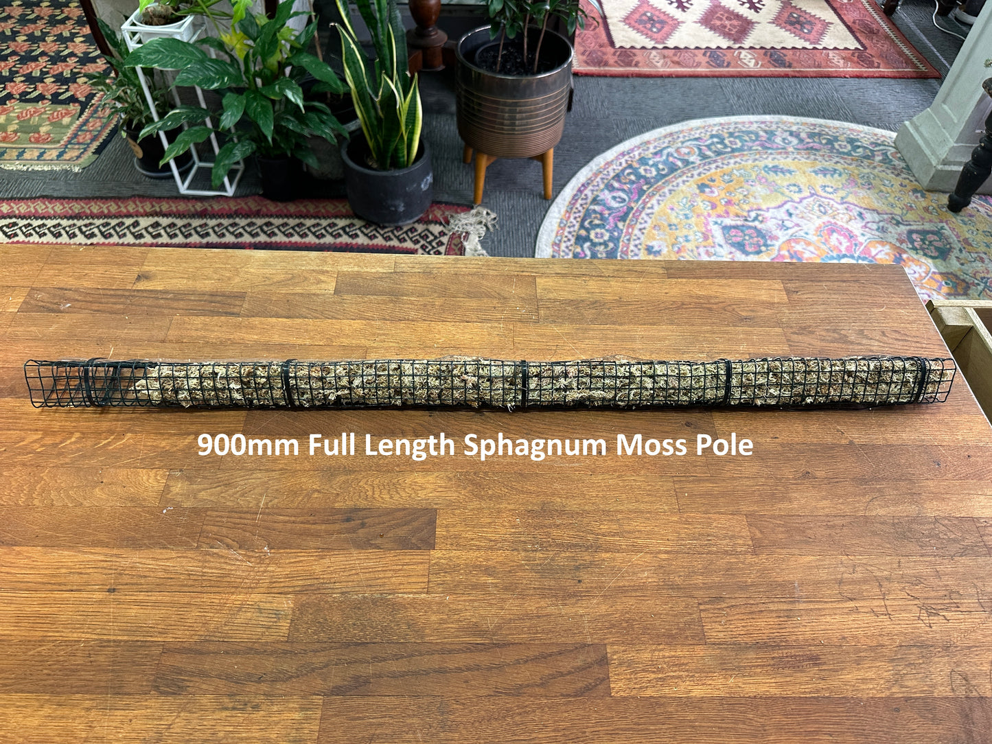 900mm Full Length Sphagnum Moss Pole