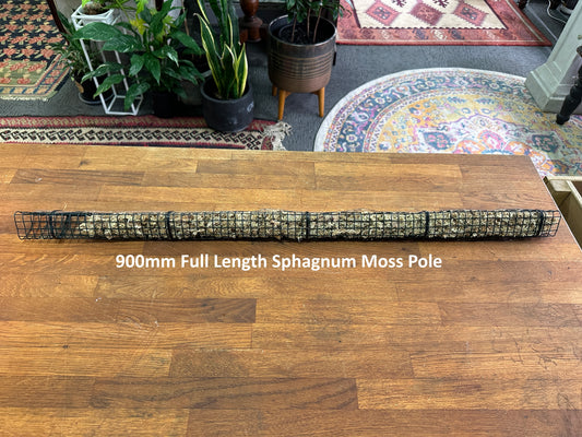 900mm Full Length Sphagnum Moss Pole