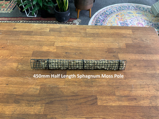 450mm Half Length Sphagnum Moss Pole