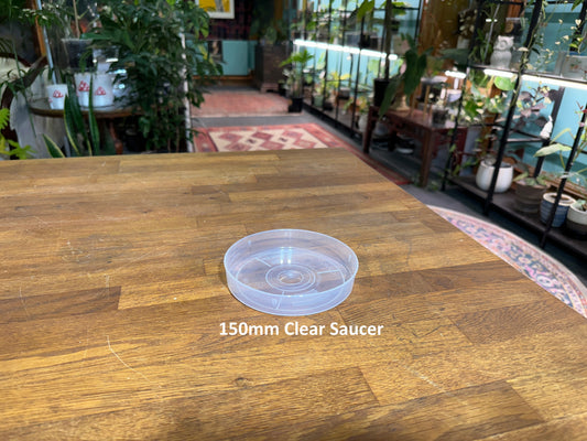 150mm Clear Saucer