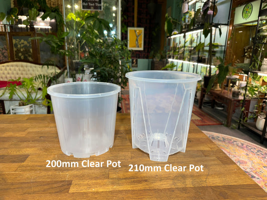 210mm Clear Grow Pot