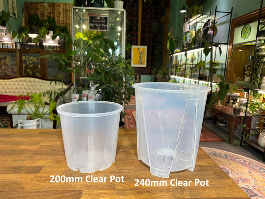 240mm Clear Grow Pot