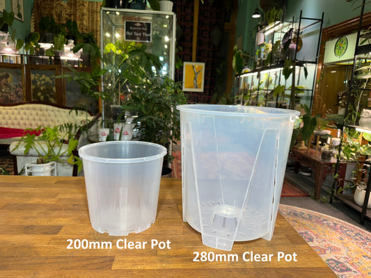 280mm Clear Grow Pot