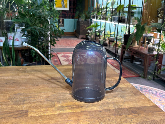 2.0 Litre Long-Spout Watering Can