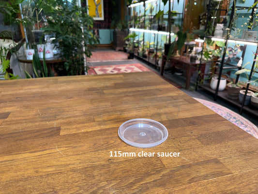 115mm Clear Saucer