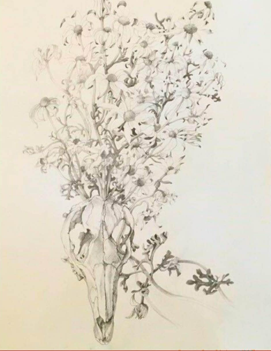 Trish Bourke Drawing Class